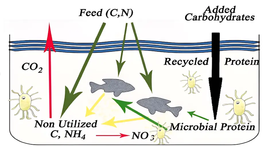 [Image of Quality Fish Farming]