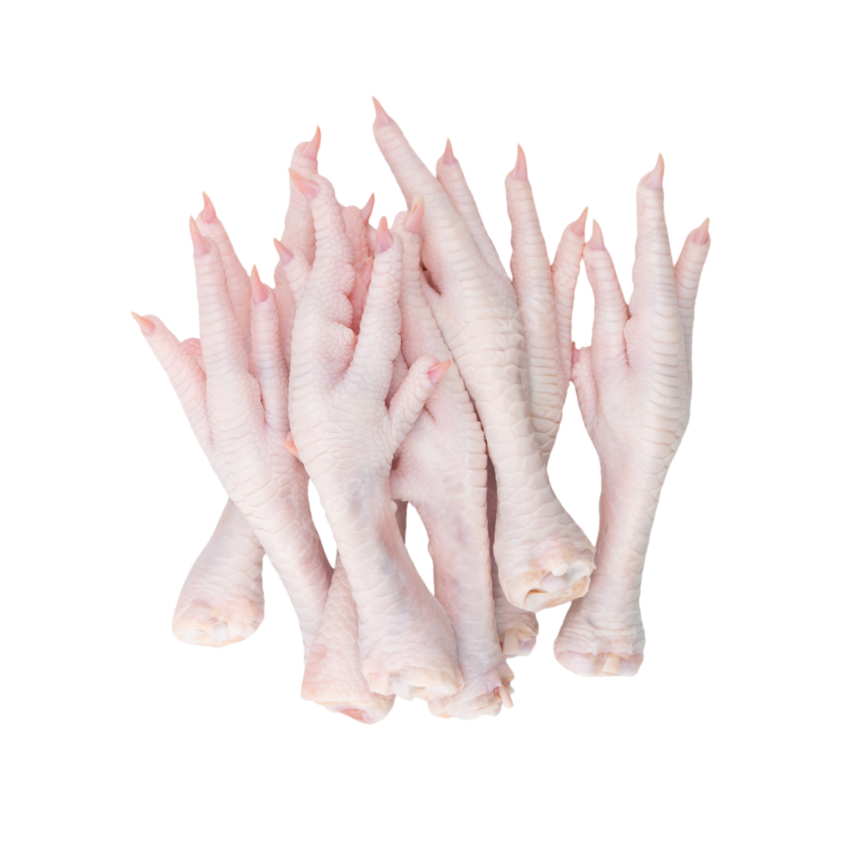 Ceker Ayam