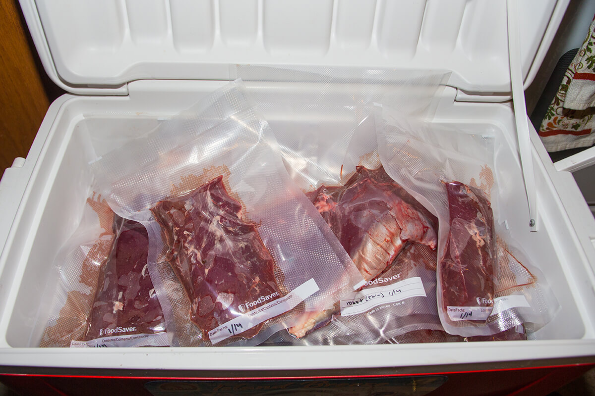 Pengiriman Cold Chain Daging Menjangan di Medan