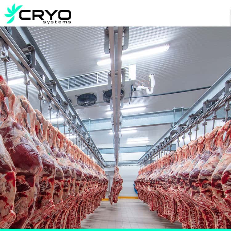 Pengiriman Cold Chain Daging Kalkun di Pasuruan
