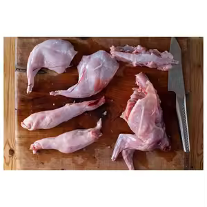 Pengiriman Cold Chain Daging Kelinci di Manado