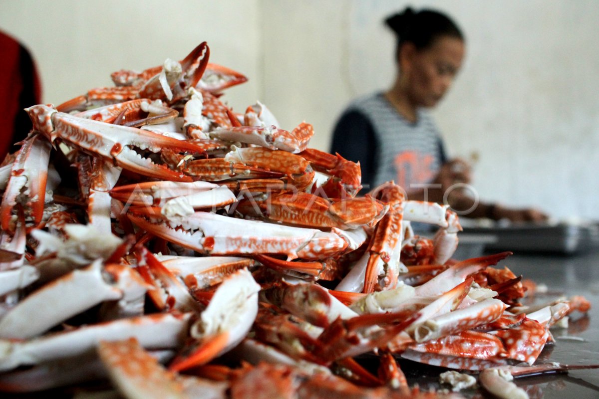 Daging Kepiting