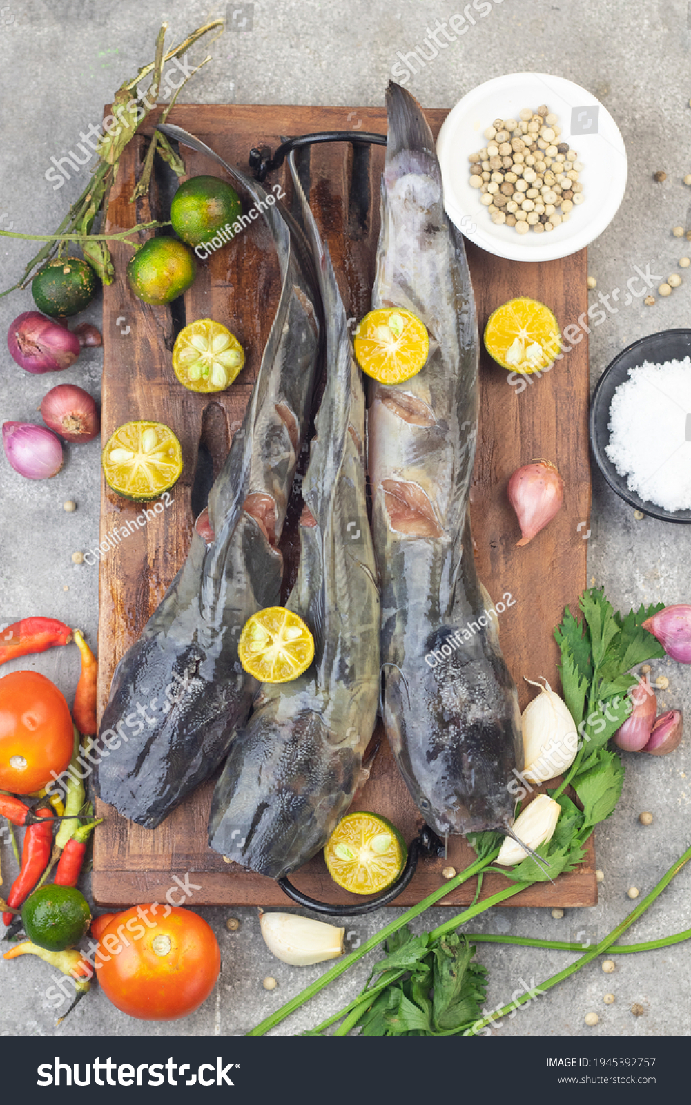 [Image of Fresh Catfish]