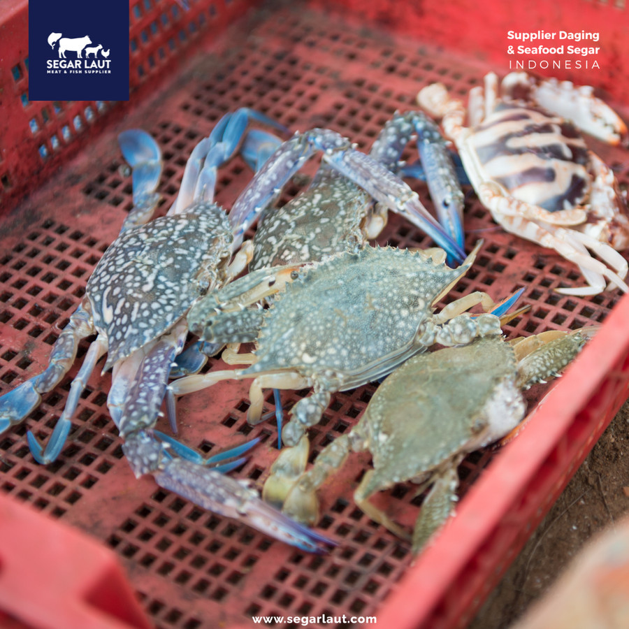 Karkas Kepiting Utuh atau Potongan