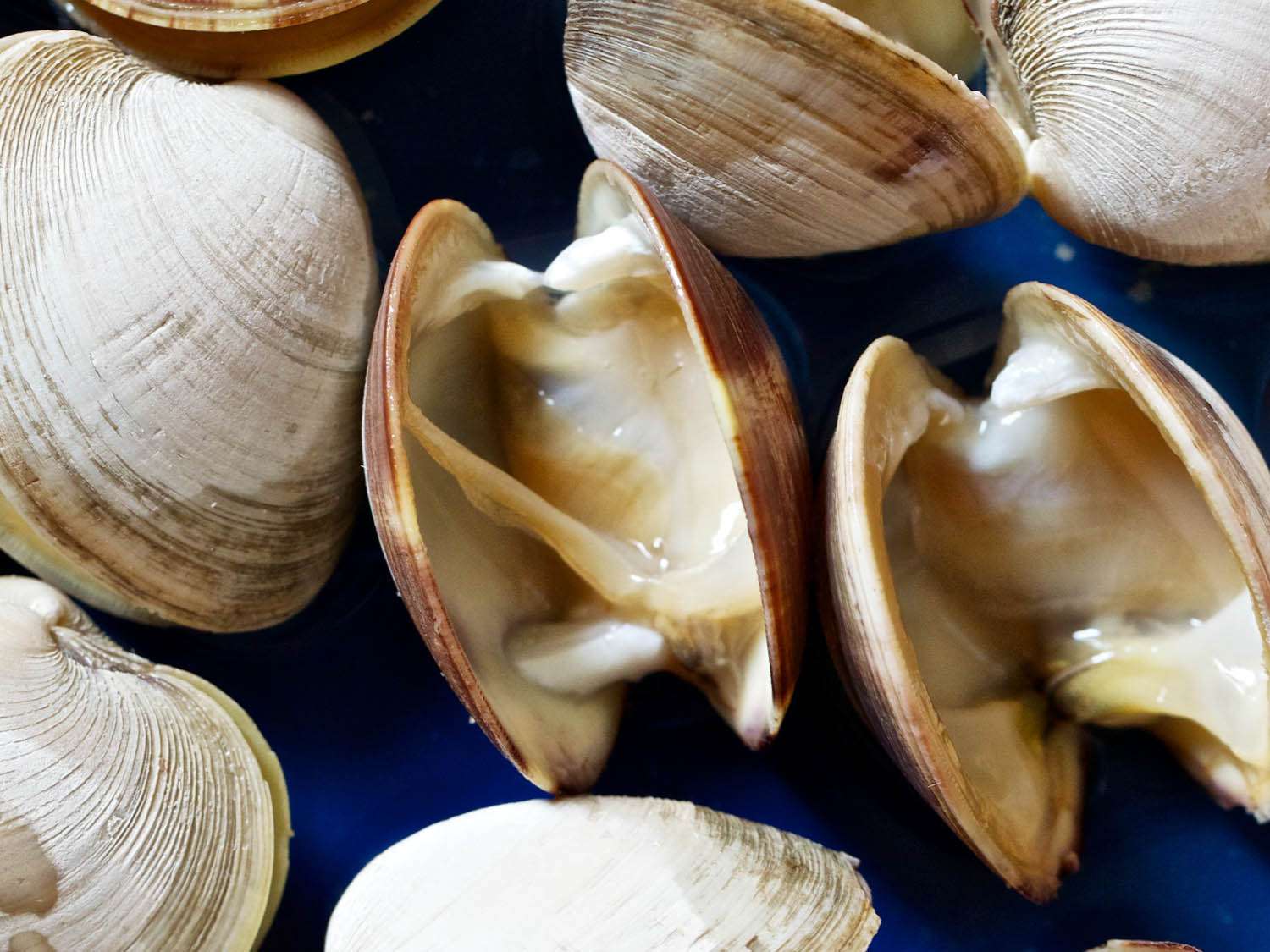 Kerang Kupas