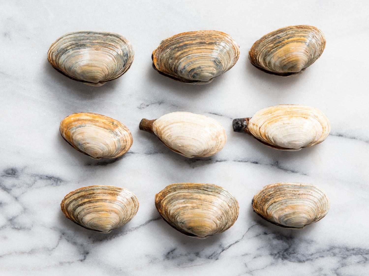 Kerang Utuh, Kupas, atau Frozen