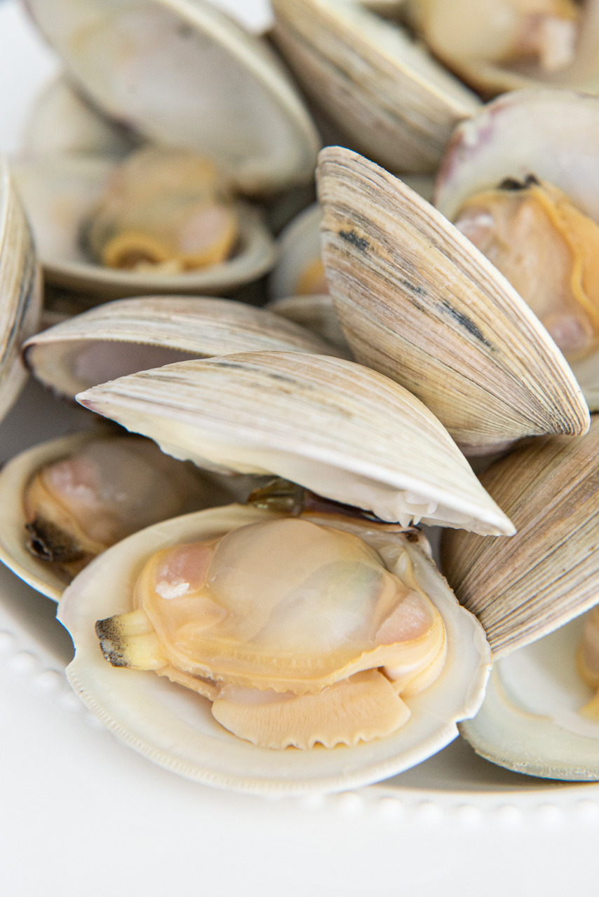 Kerang Utuh Bersih
