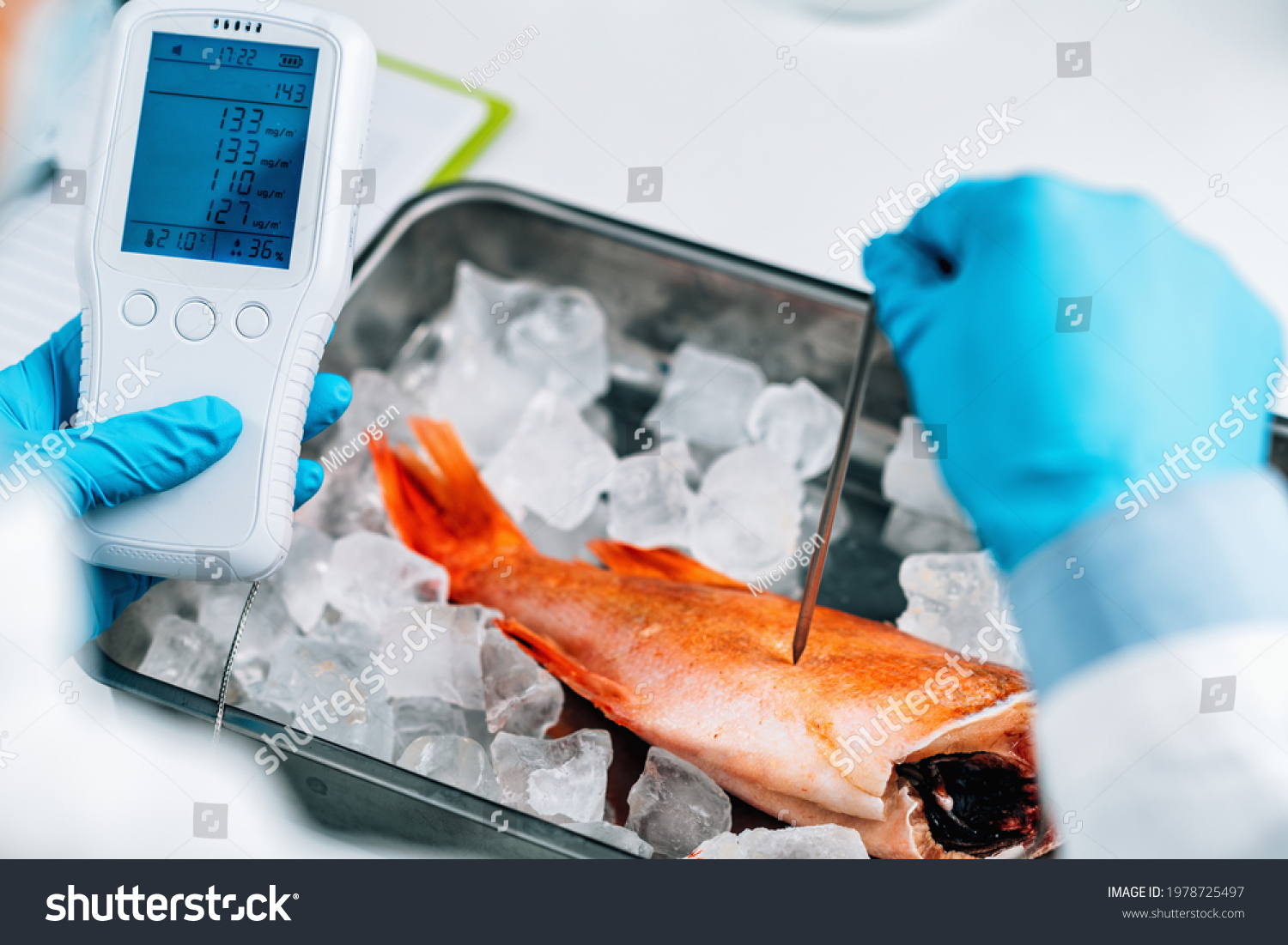 [Image of Fish Quality Control]