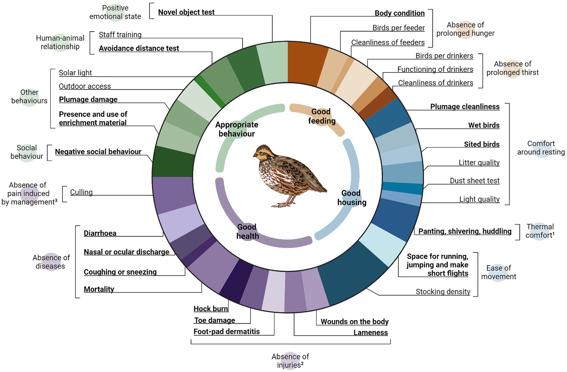 [Image of Quail Quality Control]