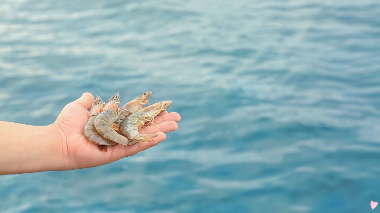 [Image of Shrimp Quality Control]