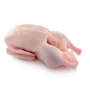 Kualitas Daging Bebek di Tomohon