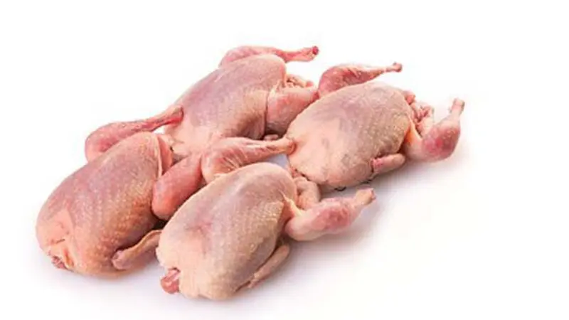 [Image of Quality Quail Meat]