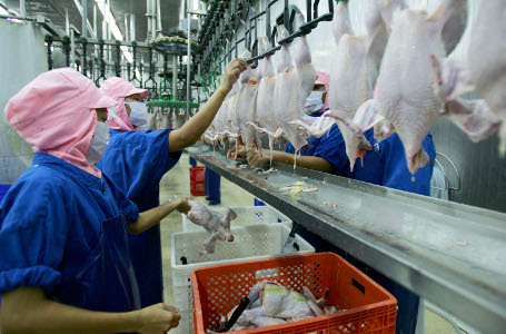 Proses Halal Higienis