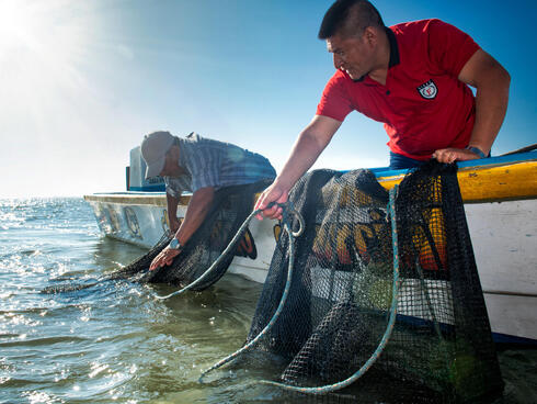 [Image of Sustainable Shrimp Farming]