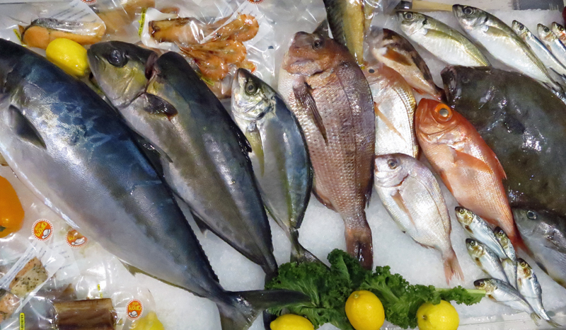 Kualitas Ikan Laut